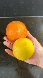 Aynı familyaya sahip portakal ve limon neden farklı kokar? 24